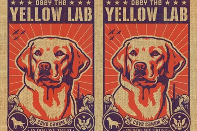 Yellow_lab_burlap.jpg