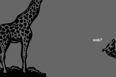 Wat Giraffe Backgrounds By BinaryDesign On DeviantArt