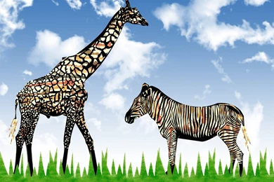 Giraffe And Zebra Backgrounds By Fawa1 On DeviantArt