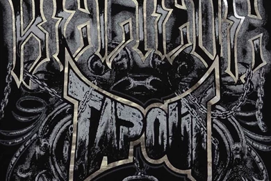 The Gallery For   > Tapout Backgrounds