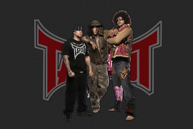 DeviantArt: More Like TapouT Logo Wallpapers By Optimdesign