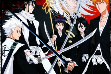 Bleach Wallpapers   Anime Debate Wallpapers (35241752)   Fanpop