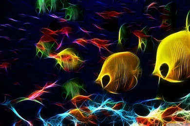 1110019 fish wallpaper hd.jpg