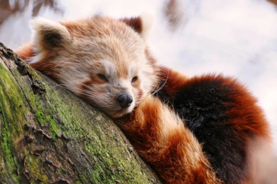 New Best, Cool And Beautiful Free 4K (ULTRA HD, UHD) / 3840x2160 ...