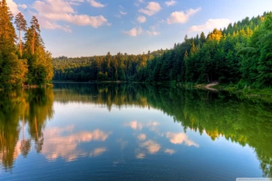 River, Forest HD Desktop Wallpapers : High Definition : Fullscreen ...