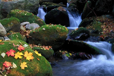 Natural Autumn Rivers Wallpapers