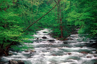 Rivers HQ Wallpapers 1600x1200   Photo 27 Of 76