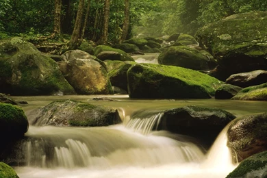 Wallpapers Rivier Animaatjes 28 Wallpapers