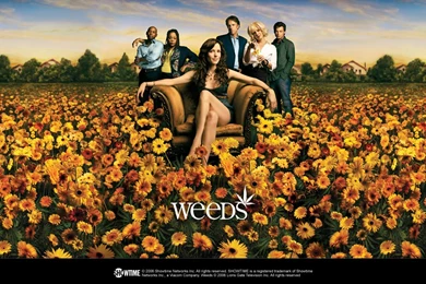 Weeds   Weeds Wallpapers (107293)   Fanpop