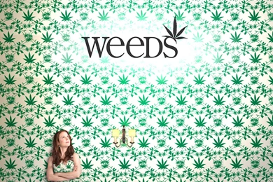 Weeds HD Wallpapers