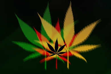 Download Free Weed HD Wallpapers