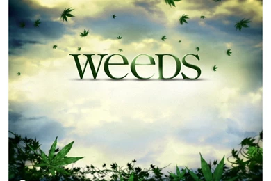 Weeds HD Wallpapers