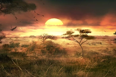 Savanna Sunset Free Wallpaper Backgrounds For C