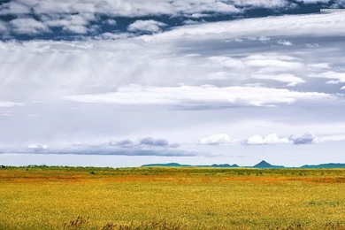 Wonderful Sky Over The Savanna Wallpapers
