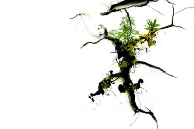 Cool Computer Graphics Wallpapers   HD Wallpapers 14409