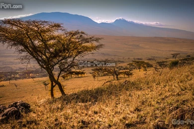 616551_afrika_priroda_peyzaj_savanna_goryi_derevo_kustyi__5671x3190_www.Gde Fon.com.jpg