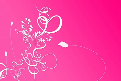 Pink White Floral Hd Wallpapers Jpg   (