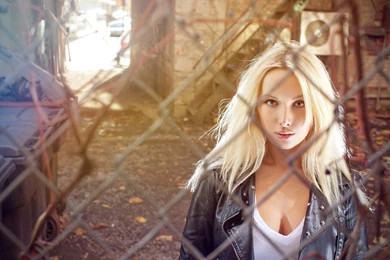 Blondes Women Cleavage Jackets Chain Link Fence