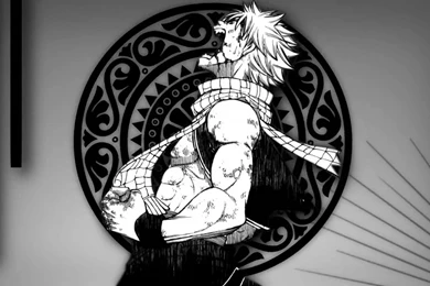 Natsu Dragneel/