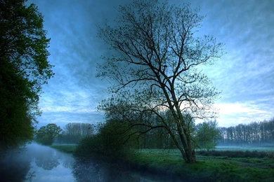 Nature: Melancolia, Picture Nr. 34471