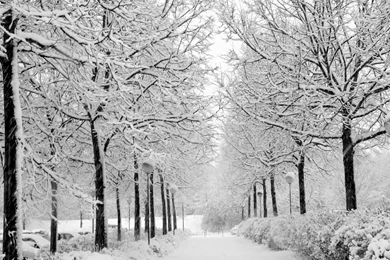 FreePhotoz Daily Wallpapers & Backgrounds