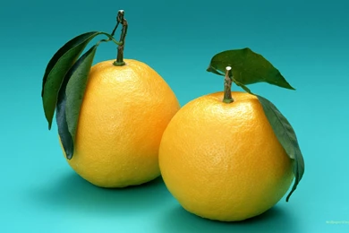 Fresh oranges Fruits Wallpaper hd.jpg