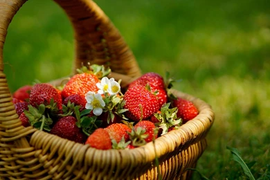Fresh Strawberry Fruit Wallpapers For Desktop, PC & Mobile