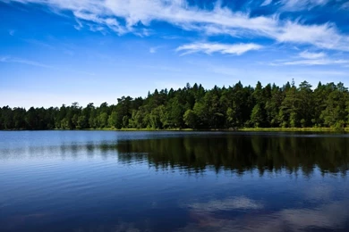 MS Summer Camp — Timberlake Student Ministries