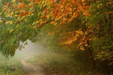 Zoozoo Wallpapers For Mobile Wallpapers HD Base