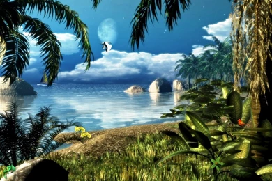 Moving   Wallpapers, HD Wallpapers, Images, Pictures, Pics ...