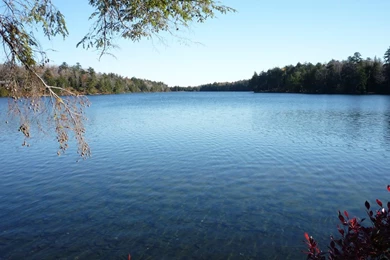 Ganoga Lake   Wikipedia, The Free Encyclopedia
