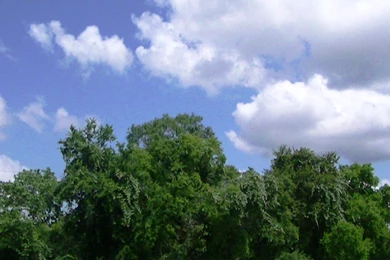 2015 09 25   Page 205