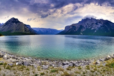 View Topic   Ｏ Ｐ Ｅ Ｎ   Ｍ Ｅ Ａ Ｄ Ｏ Ｗ Ｓ \ Open & Accepting ...