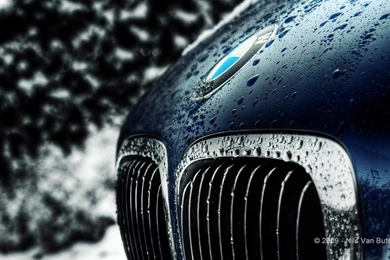 BMW LOGO WALLPAPER   BMW LOGO