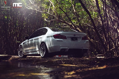 Bmw m5 2014 white wallpaper 6.jpg