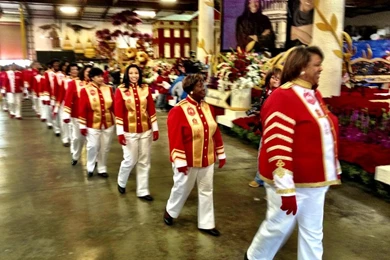 Delta Sigma Theta Sorority Makes History At 2013 Rose Parade ...