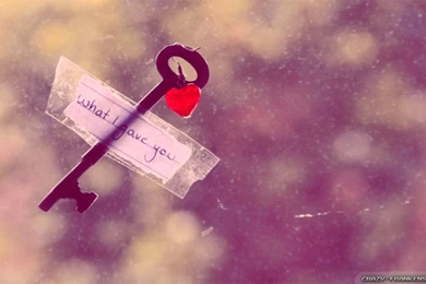 Romantic Scenes Wallpapers   Crazy Frankenstein