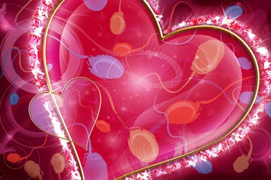 Hd Romantic Love Hd Wallpapers 3D