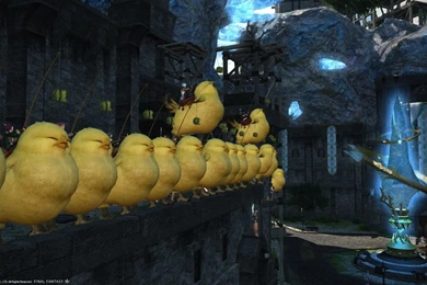 Cronos Highwind Blog Entry "FAT CHOCOBO FEST 2014"