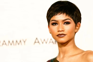 Download Wallpapers 1920x1080 Zendaya Coleman, Grammy Awards ...