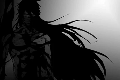 Ichigo S Epic Pose 497619 Wallpapers   (