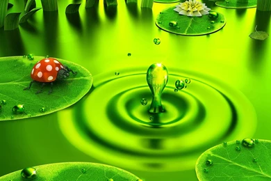 Desktop Wallpapers Gallery   HD Wallpapers Pretty