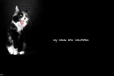 My Damn Epic Wallpapers By Abdelrahman On DeviantArt