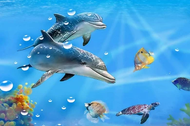Download Dolphin Live Wallpapers For Android, Dolphin Live ...