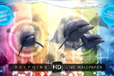 Dolphin Live Wallpapers