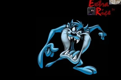 Alfa Img   Showing > Taz Wallpapers Desktop