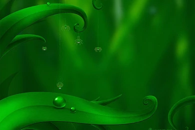 Green Backgrounds Wallpapers   HD Wallpapers Lovely
