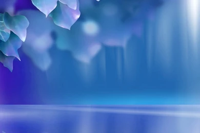 Free Mobile Wallpapers Download Free Wallpapers 133296