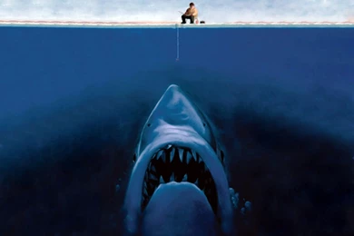 Fun Wallpapers HD Wallpapers Desktop Wallpapers ...