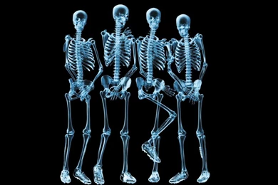 Fantasy Fun HD Wallpapers